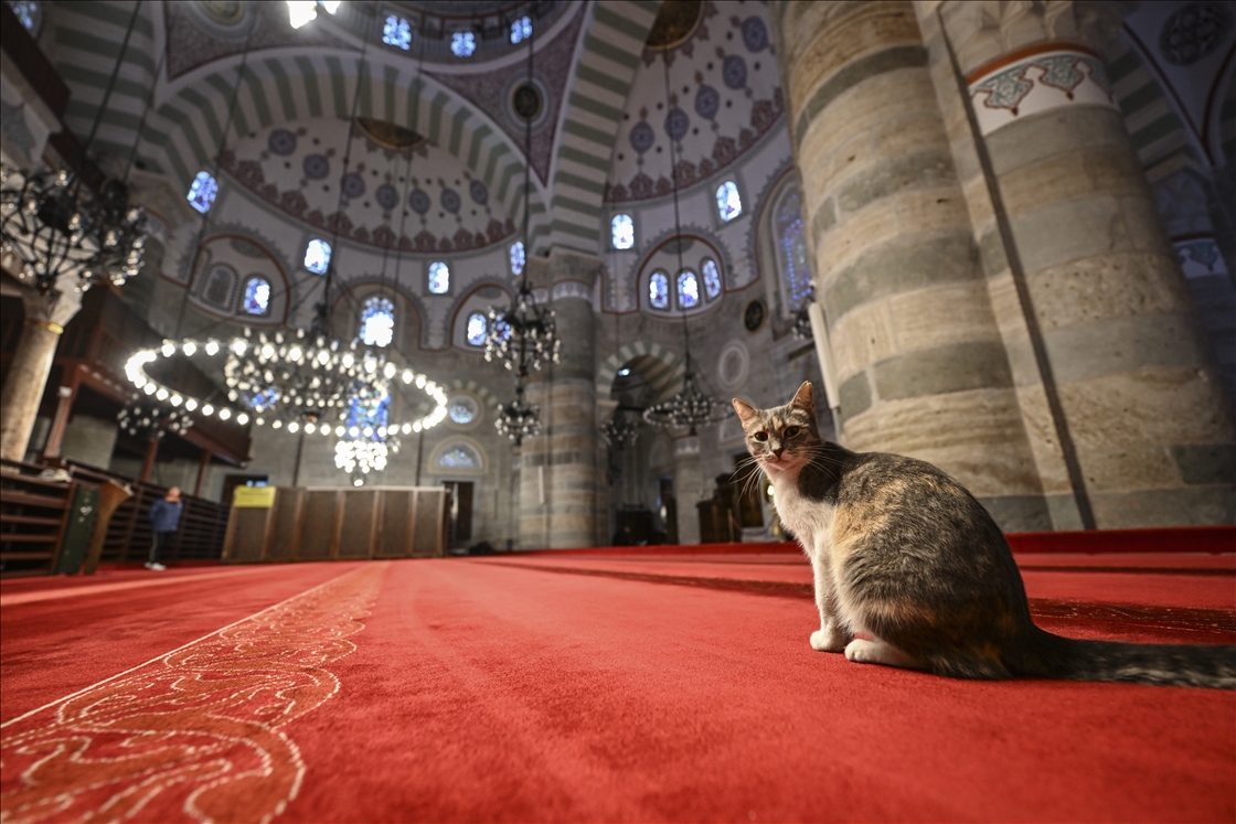 МЕЧЕТИ СТАМБУЛА «СЕЛАТИН» - Творение Мимара Синана с видом на Босфор: мечеть Михримах Султан