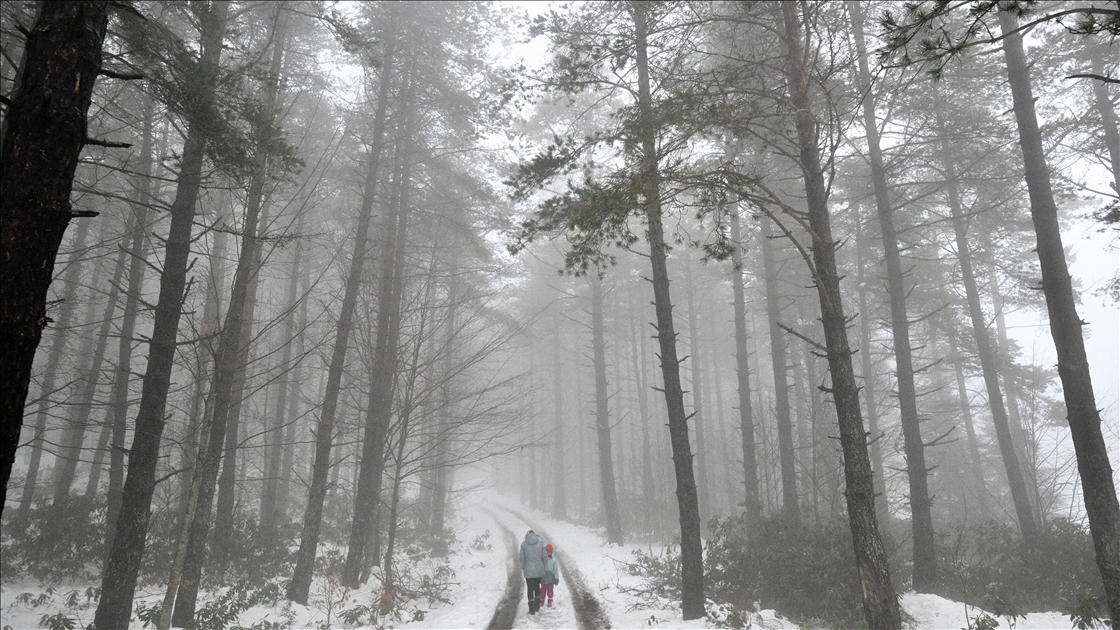 Düzce'nin yüksek kesimlerinde kar etkili oldu