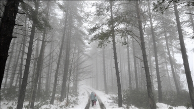 Düzce'nin yüksek kesimlerinde kar etkili oldu
