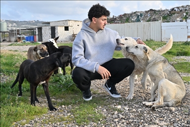 Молодой ливанец спасает «брошенных на произвол судьбы животных» в районах, подвергающихся израильским атакам