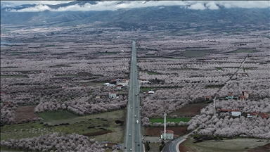 "Dünya kayısı başkenti" Malatya beyaz gelinliğini giydi