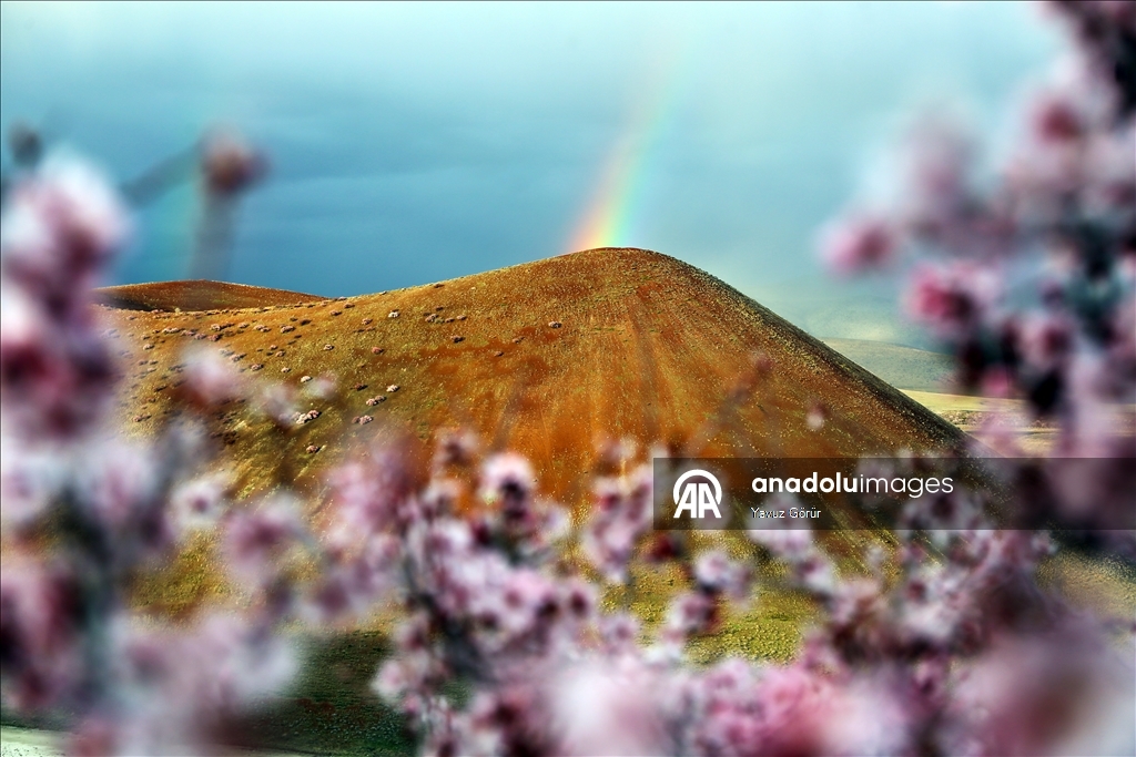 Весенняя красота озера Меке