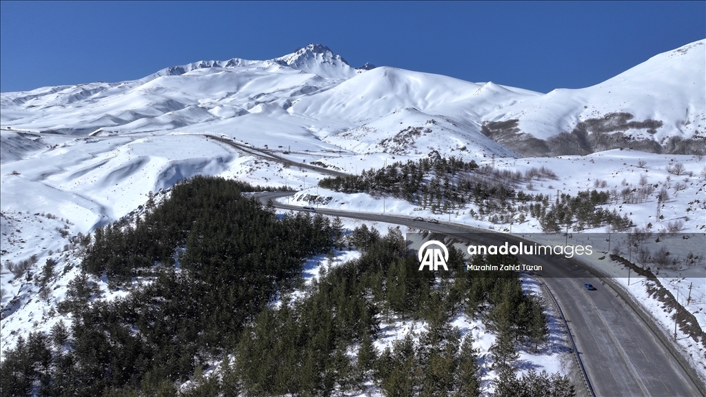 Erciyes'te 15 yılda yaklaşık 7 milyon fidan toprakla buluşturuldu