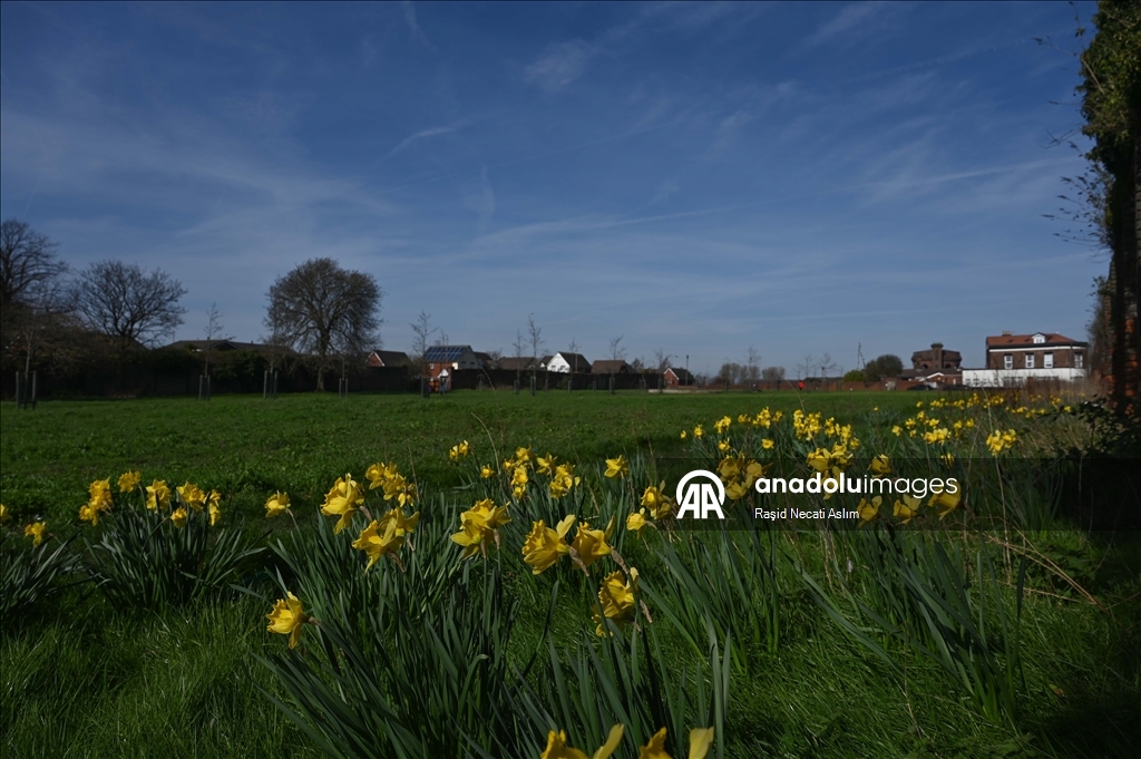 بعد قرن من الاندثار.. مساعٍ "لإحياء" مقبرة عثمانية في بريطانيا