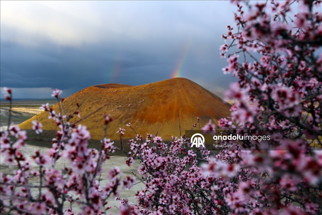 Весенняя красота озера Меке