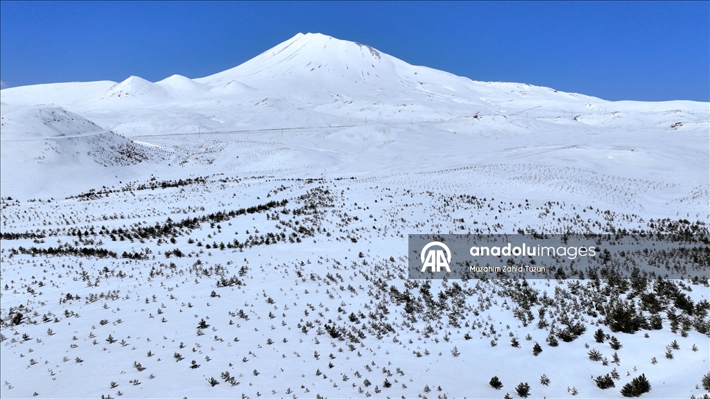Erciyes'te 15 yılda yaklaşık 7 milyon fidan toprakla buluşturuldu