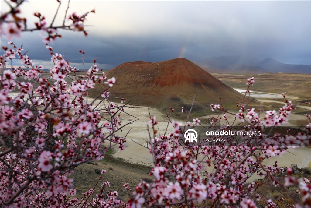 Весенняя красота озера Меке