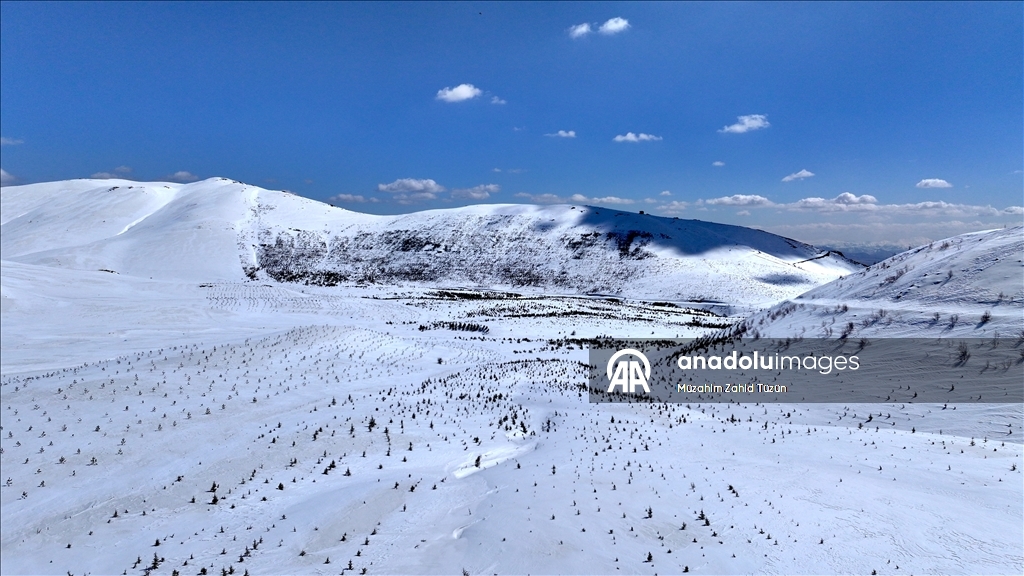 Erciyes'te 15 yılda yaklaşık 7 milyon fidan toprakla buluşturuldu