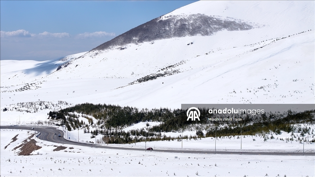 Erciyes'te 15 yılda yaklaşık 7 milyon fidan toprakla buluşturuldu