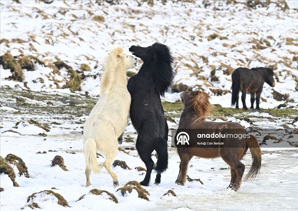 Doğanın Jeolojik Arşivi: İzlanda