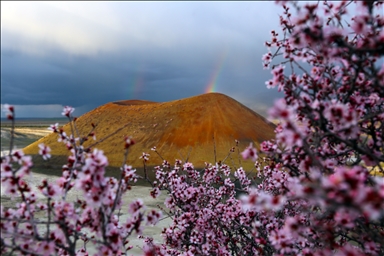 Весенняя красота озера Меке