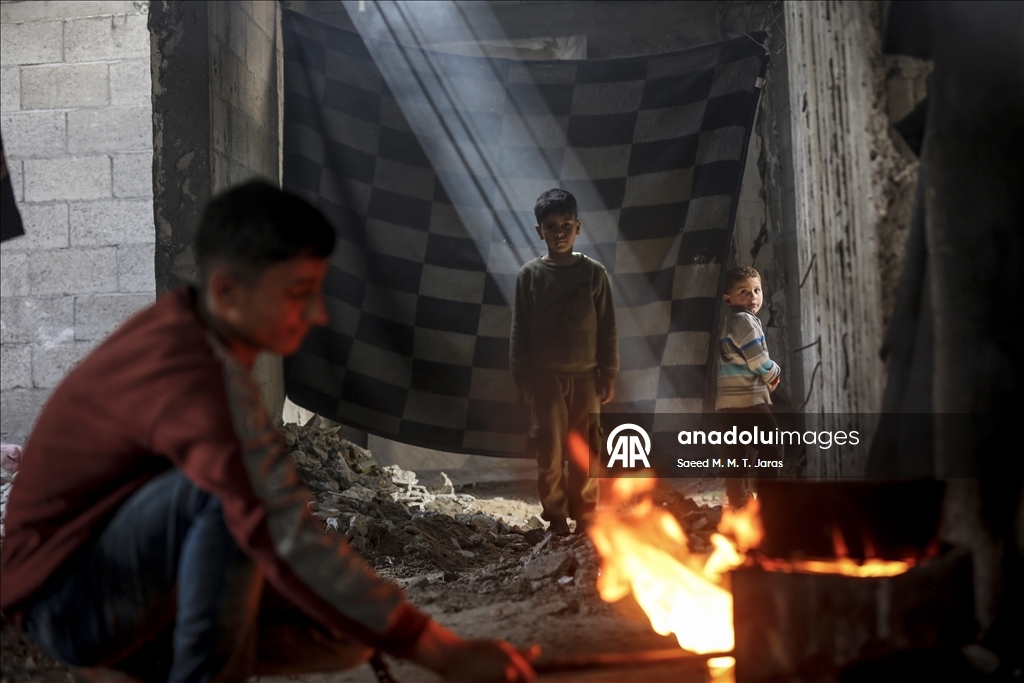 Перемещенные палестинцы в городе Газа укрылись на территории университетского городка