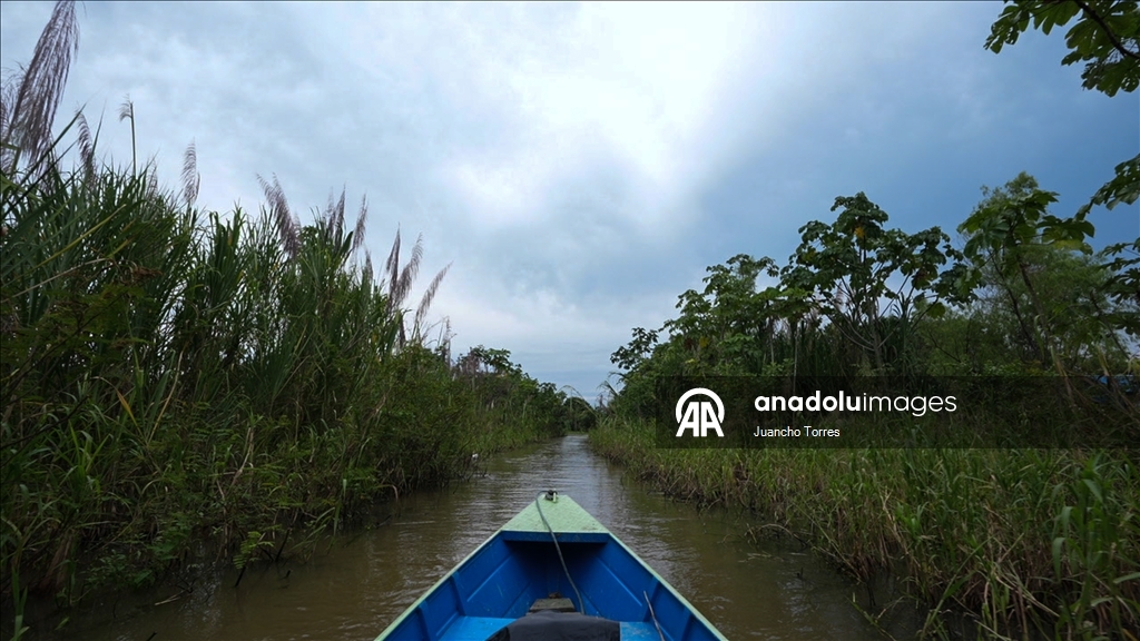 Kolombiya’nın Amazon yağmur ormanlarında günlük yaşam