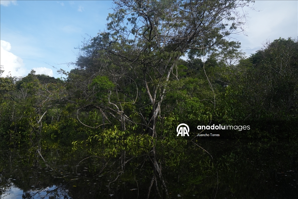 Kolombiya’nın Amazon yağmur ormanlarında günlük yaşam