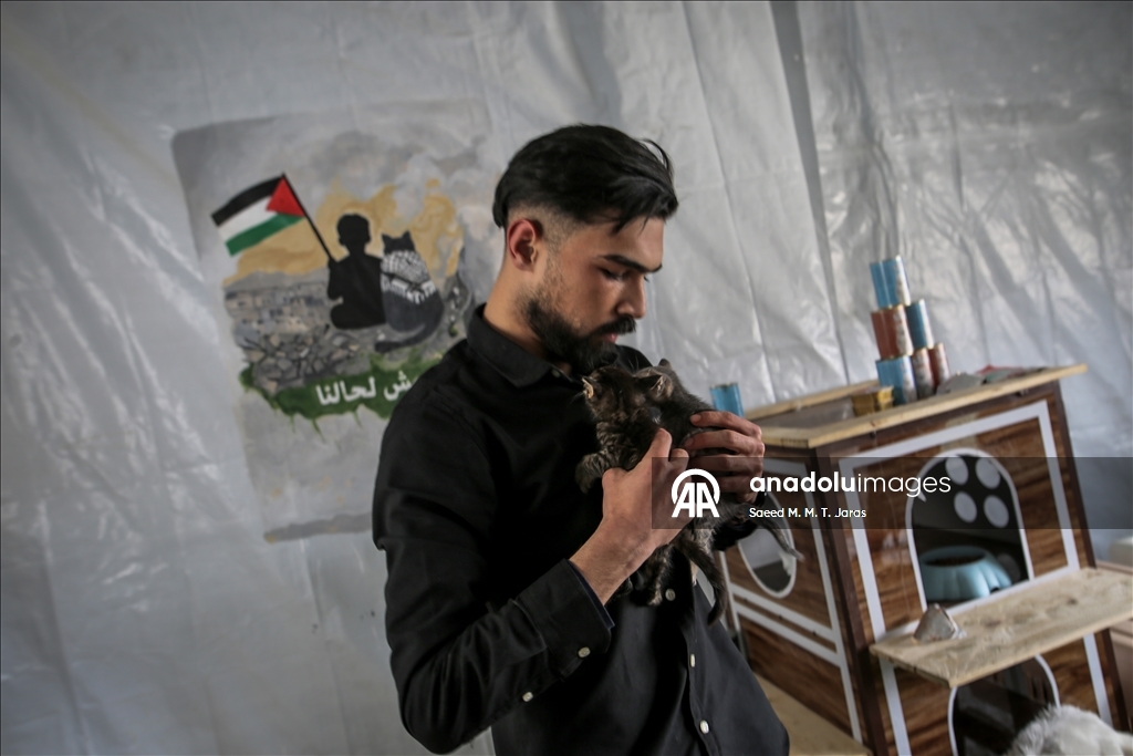 Gazze'nin kuzeyinde sahipsiz kediler için barınak kuruldu