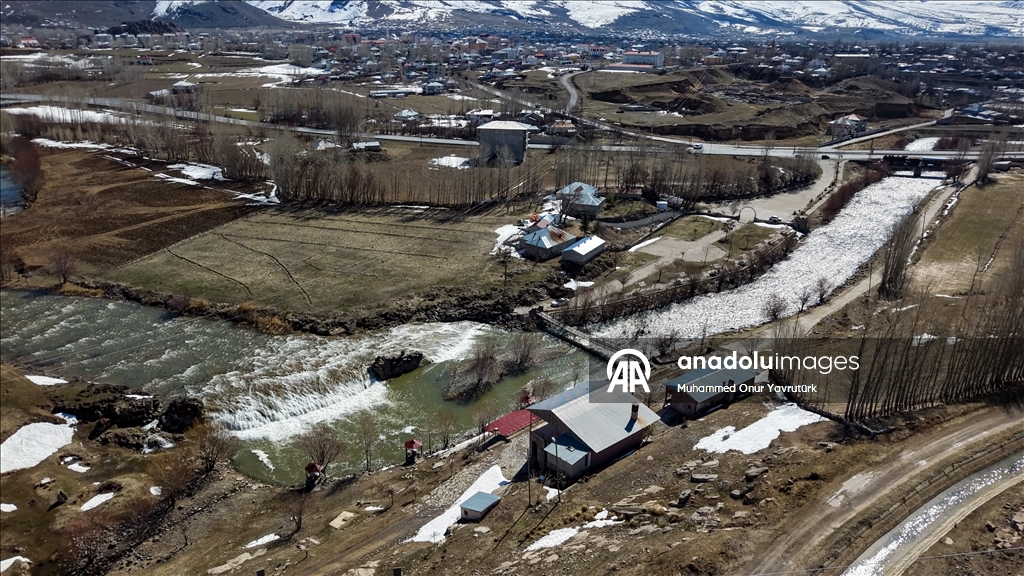 Artan yağışlar "Van Gölü'nün incileri"nin üreme dönemini sorunsuz geçirmesini sağlayacak