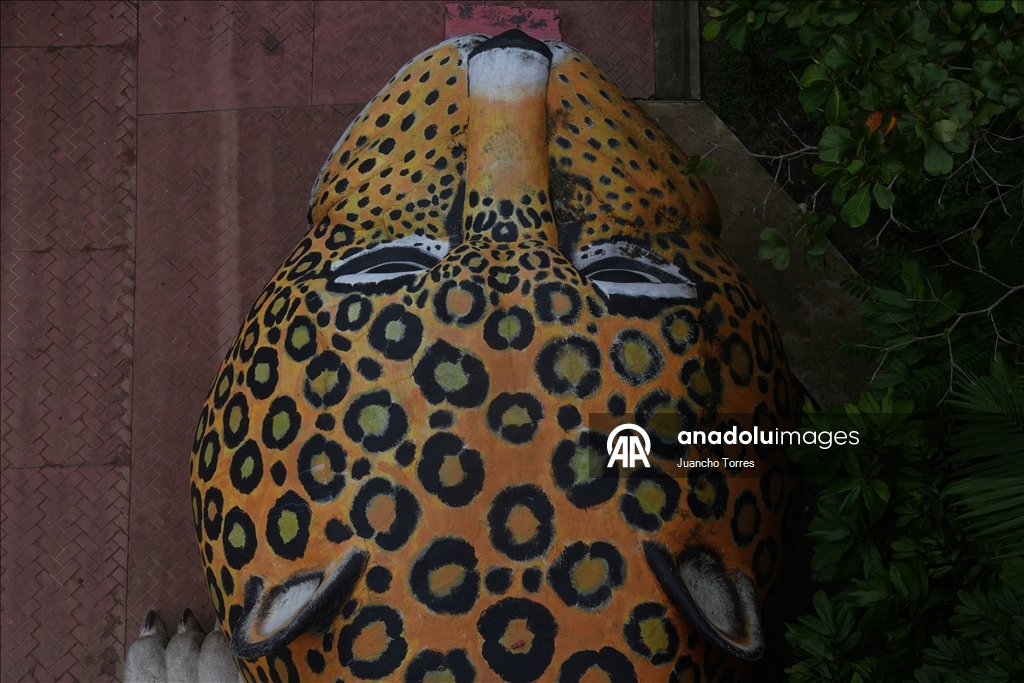 Kolombiya’nın Amazon yağmur ormanlarında günlük yaşam