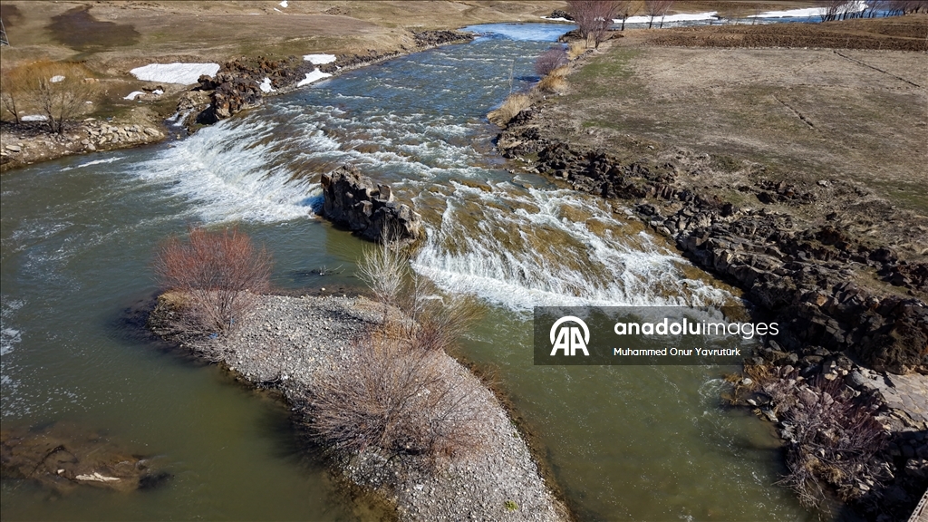 Artan yağışlar "Van Gölü'nün incileri"nin üreme dönemini sorunsuz geçirmesini sağlayacak
