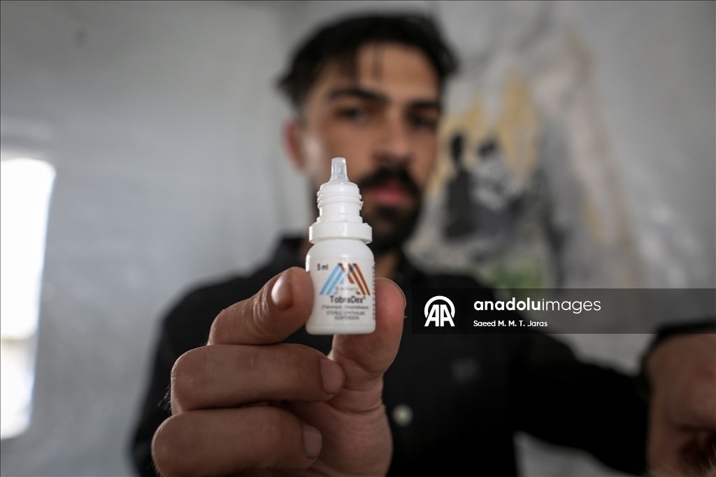 Gazze'nin kuzeyinde sahipsiz kediler için barınak kuruldu