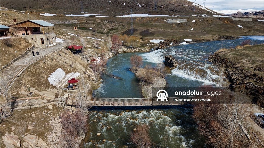 Artan yağışlar "Van Gölü'nün incileri"nin üreme dönemini sorunsuz geçirmesini sağlayacak