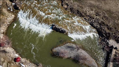 Artan yağışlar "Van Gölü'nün incileri"nin üreme dönemini sorunsuz geçirmesini sağlayacak