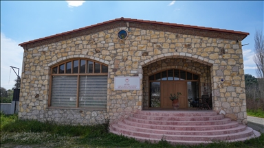 Anadolu'nun zeytinyağı mirası İzmir'deki 'tadım kütüphanesinde' buluştu