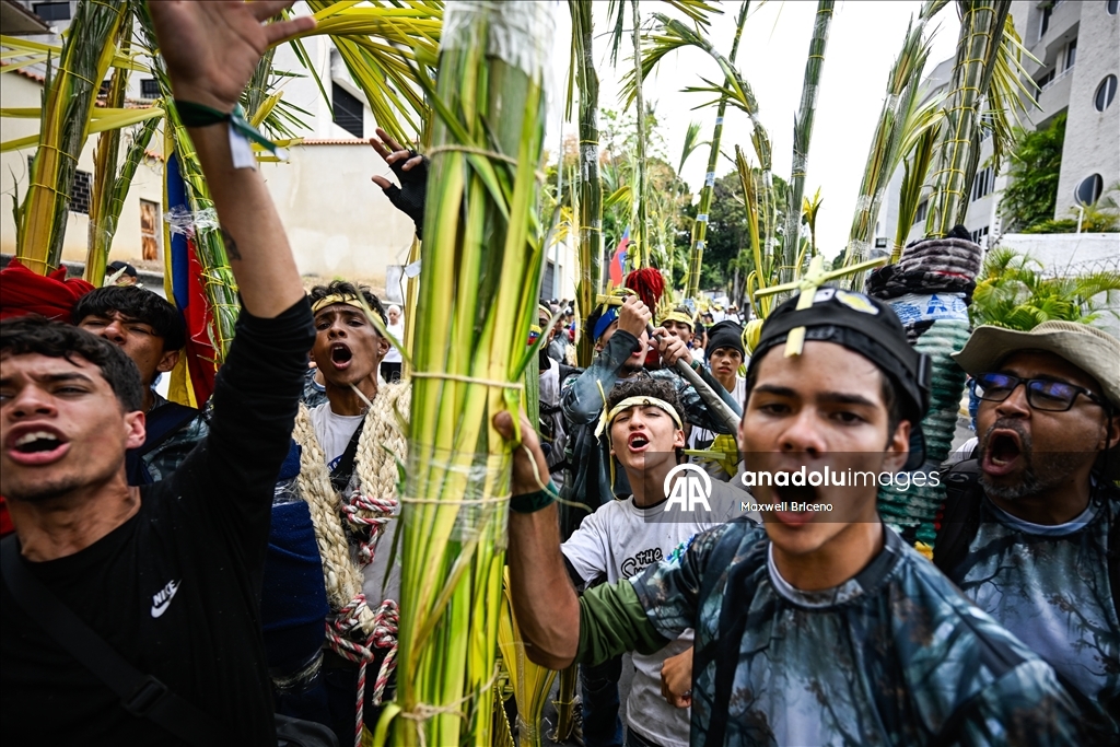 В Каракасе прошла традиционная церемония сбора и освящения пальмовых листьев