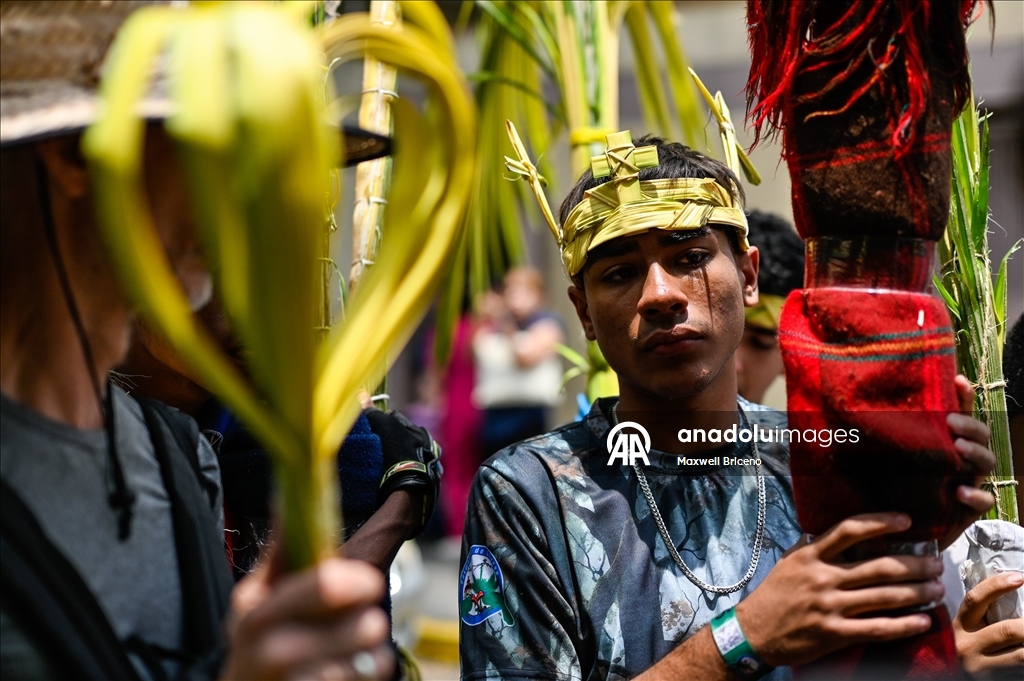 В Каракасе прошла традиционная церемония сбора и освящения пальмовых листьев