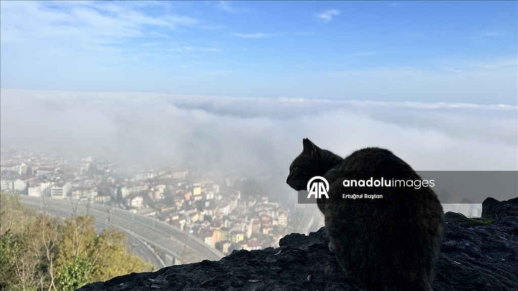 В Трабзоне наблюдается густой туман