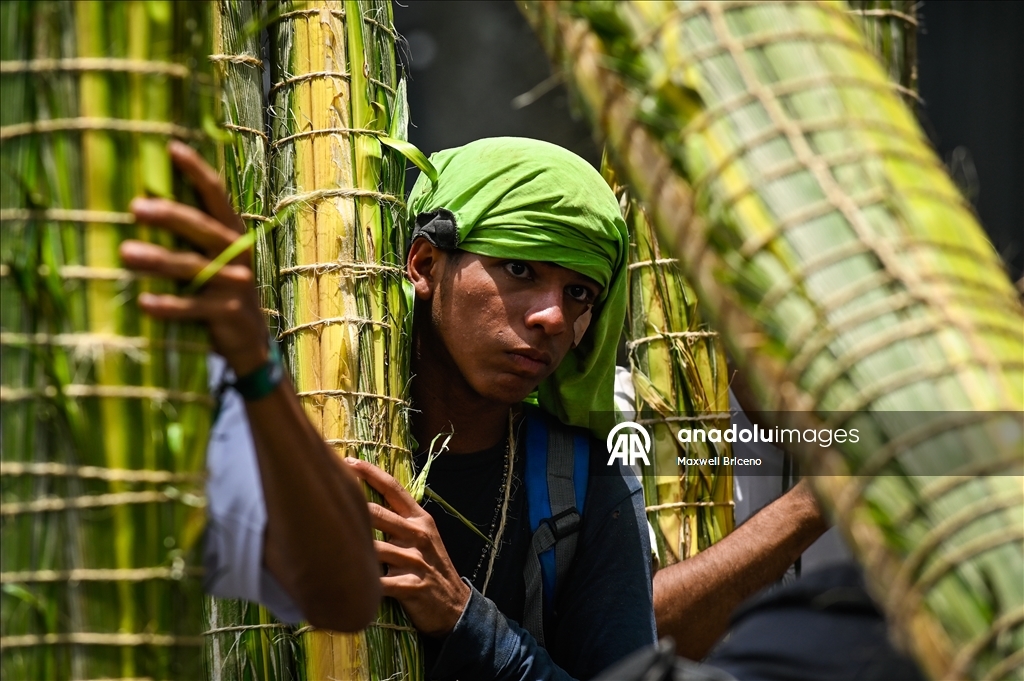 В Каракасе прошла традиционная церемония сбора и освящения пальмовых листьев
