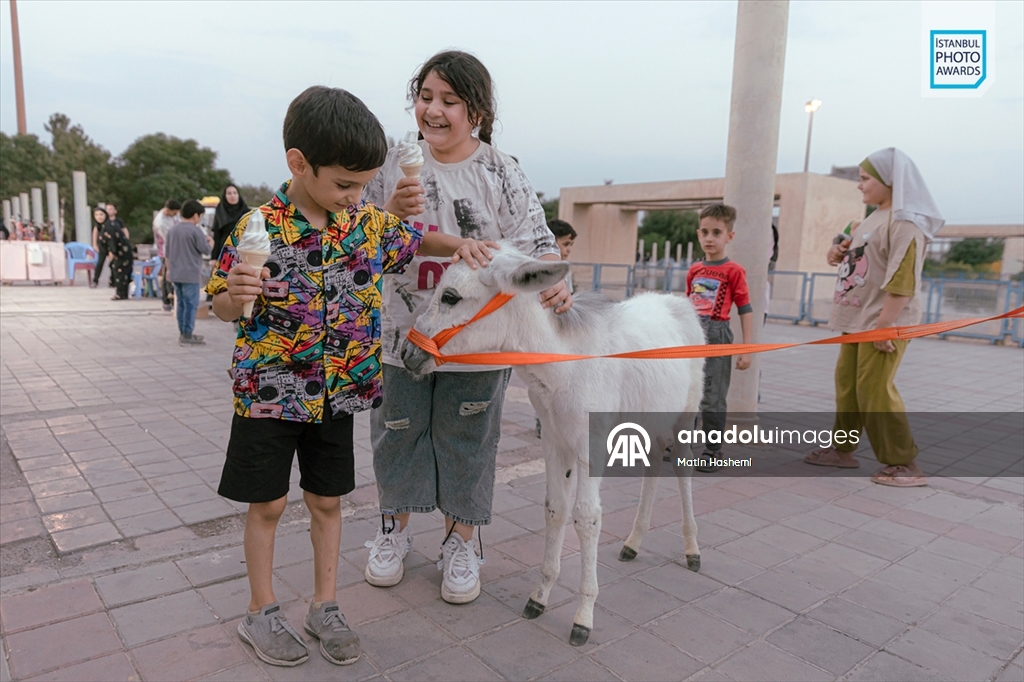 İstanbul Photo Awards'ın 2026 kazananları açıklandı