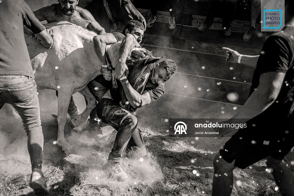 İstanbul Photo Awards'ın 2026 kazananları açıklandı