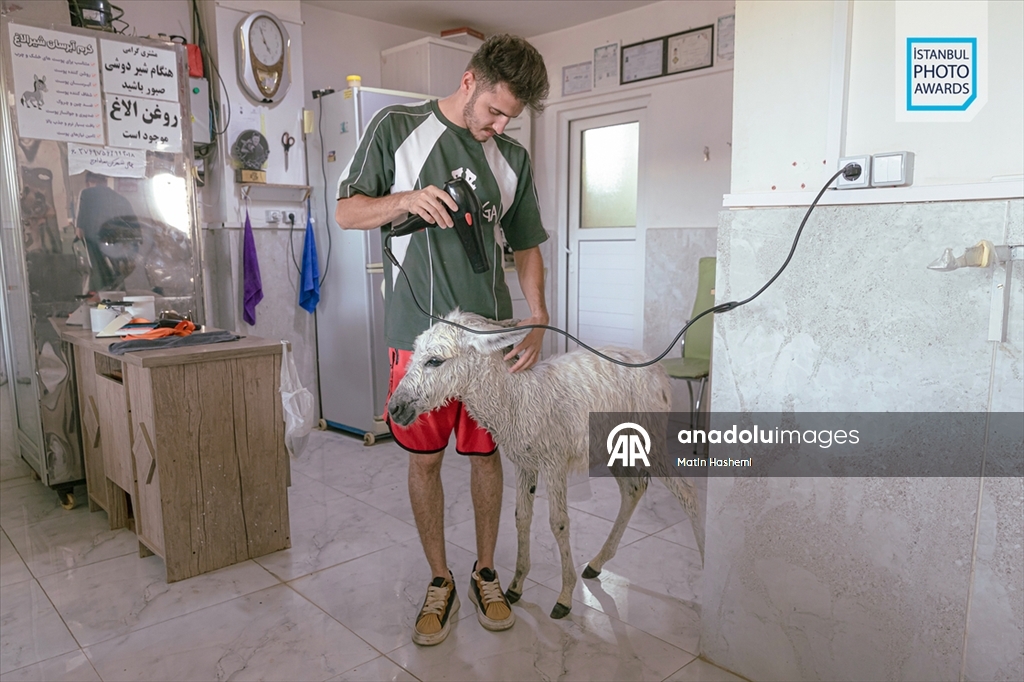 İstanbul Photo Awards'ın 2026 kazananları açıklandı