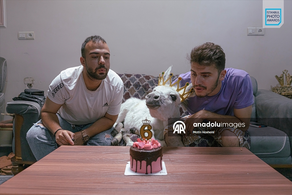 İstanbul Photo Awards'ın 2026 kazananları açıklandı