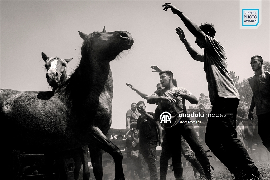 İstanbul Photo Awards'ın 2026 kazananları açıklandı