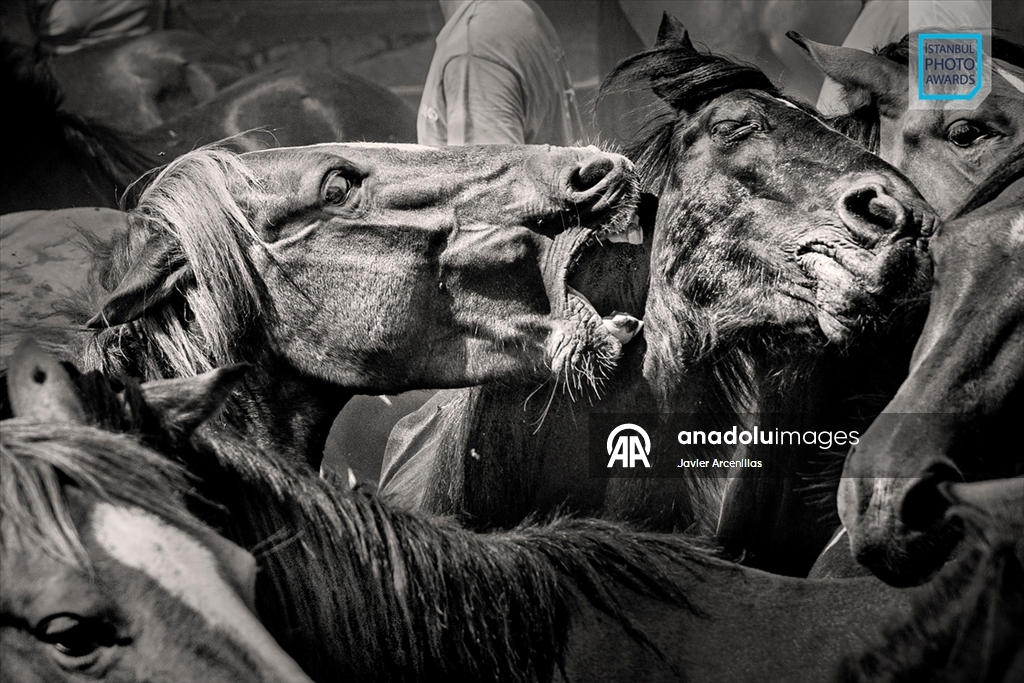 İstanbul Photo Awards'ın 2026 kazananları açıklandı