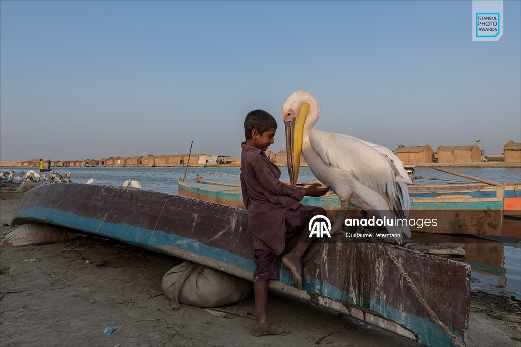 İstanbul Photo Awards'ın 2026 kazananları açıklandı