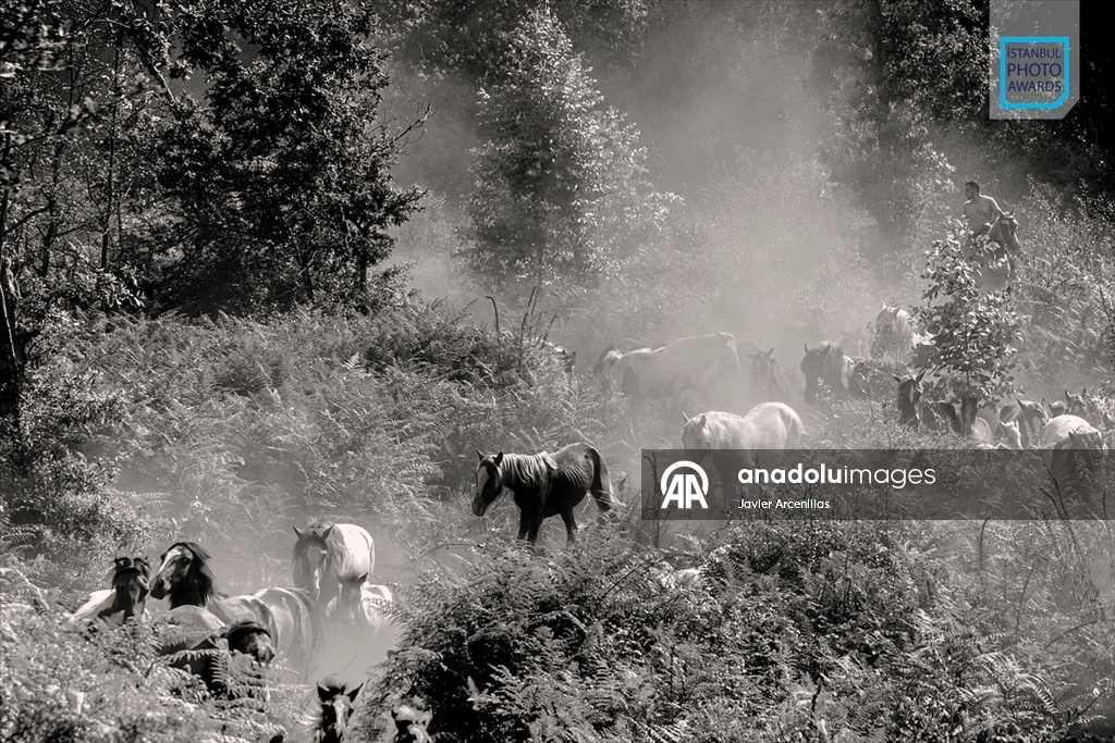 İstanbul Photo Awards'ın 2026 kazananları açıklandı