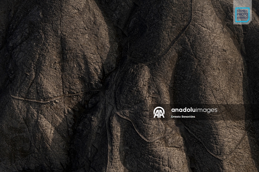 İstanbul Photo Awards'ın 2026 kazananları açıklandı