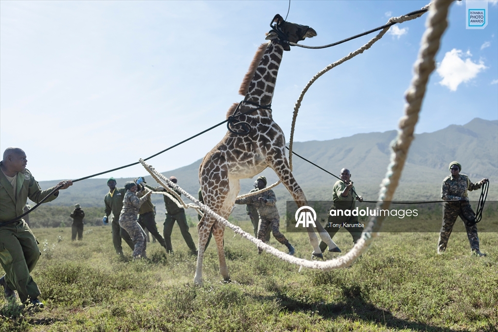 İstanbul Photo Awards'ın 2026 kazananları açıklandı