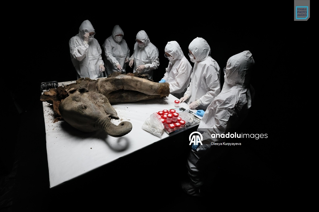 İstanbul Photo Awards'ın 2026 kazananları açıklandı