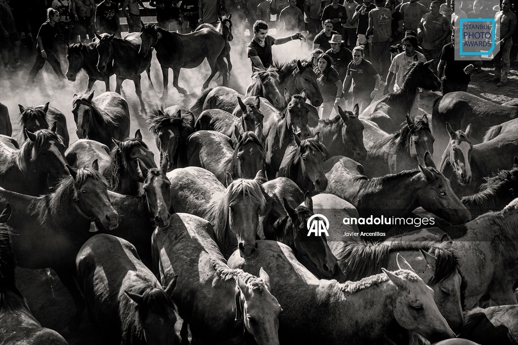 İstanbul Photo Awards'ın 2026 kazananları açıklandı