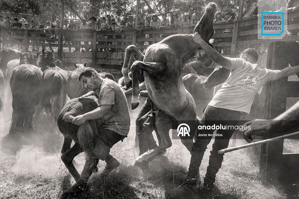 İstanbul Photo Awards'ın 2026 kazananları açıklandı