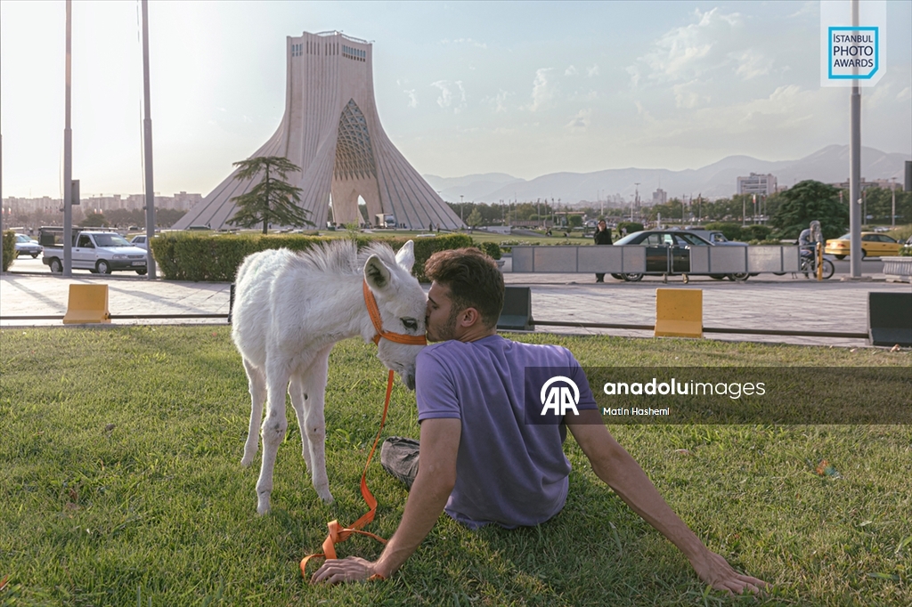 İstanbul Photo Awards'ın 2026 kazananları açıklandı