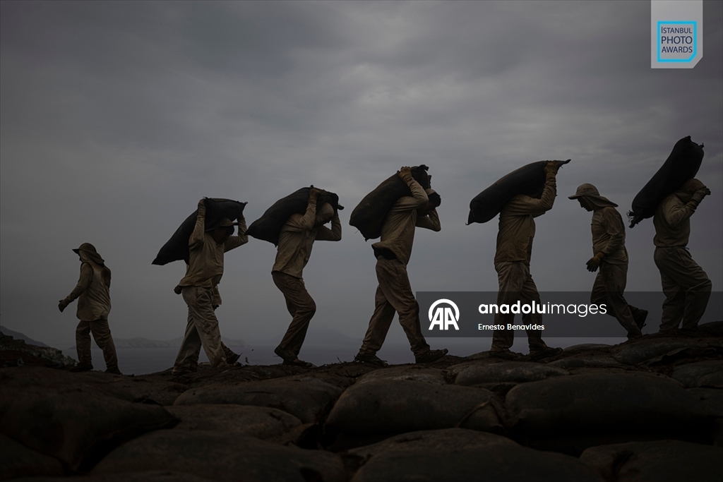 İstanbul Photo Awards'ın 2026 kazananları açıklandı
