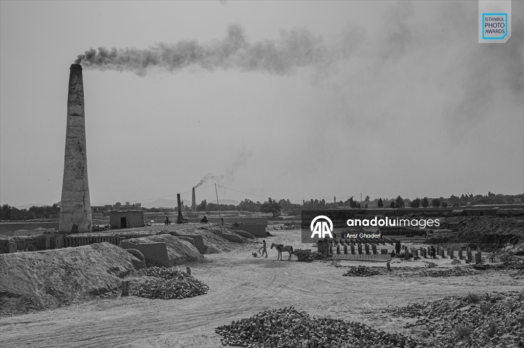 İstanbul Photo Awards'ın 2026 kazananları açıklandı