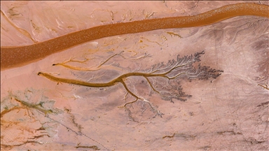 Tuzla Palas Gölü'nü besleyen suların oluşturduğu izler ağaç dallarını andırıyor