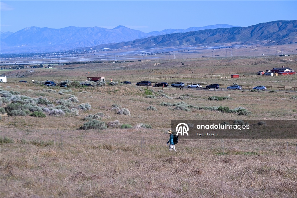 Sıcak hava dalgası Antelope Valley’de gelincik sezonunu erken bitiriyor