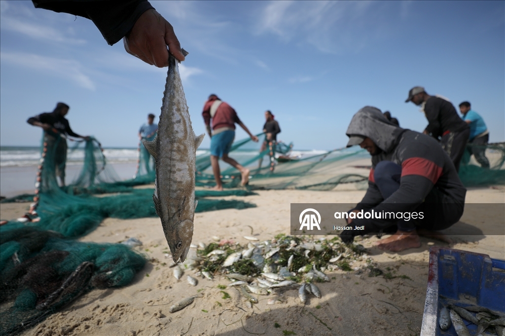 Gazze'deki Filistinli balıkçılar tehlikeli olmasına rağmen mesleklerine devam ediyor