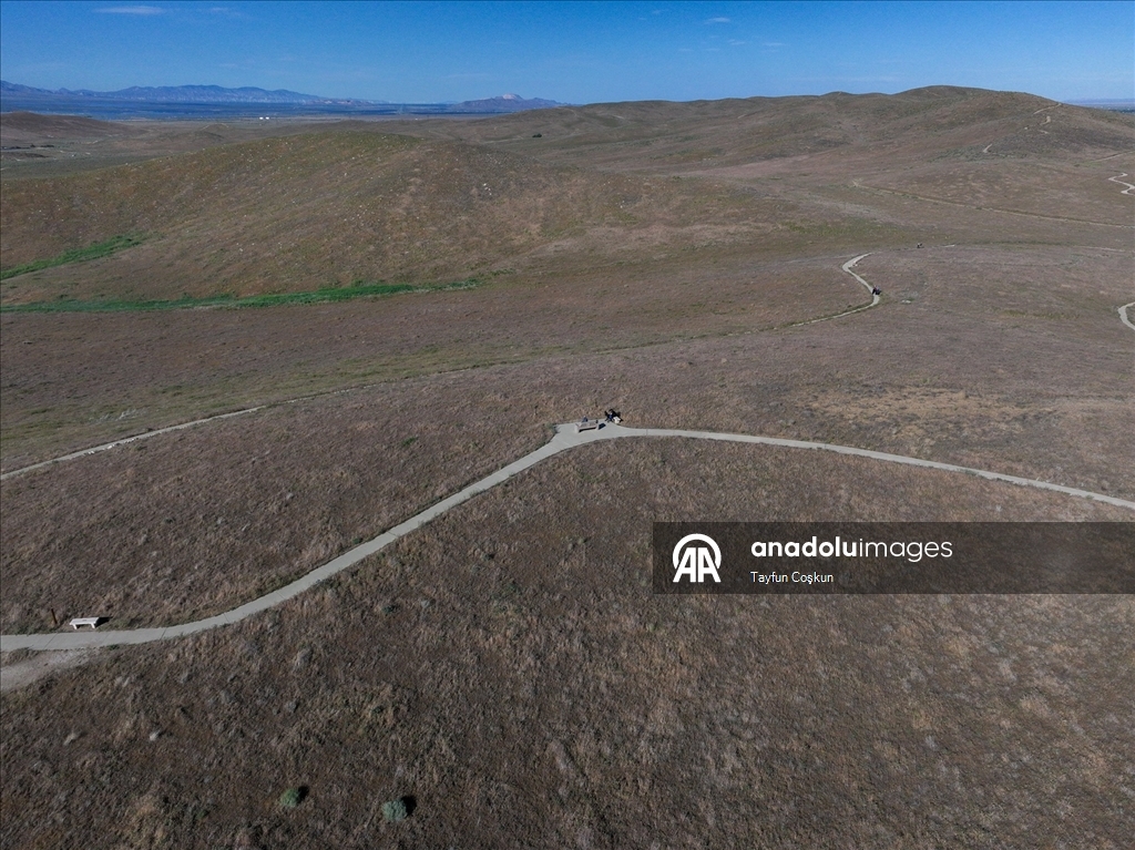 Sıcak hava dalgası Antelope Valley’de gelincik sezonunu erken bitiriyor